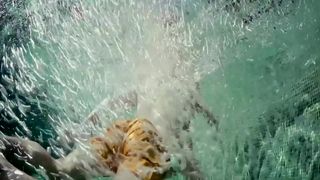 Ursula Corbero - Quien mato a Bambi (2013) celebs nude videos