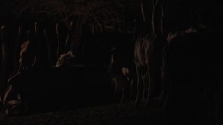 Maeve Jinkings nude - Boi neon (2015) outdoor sex