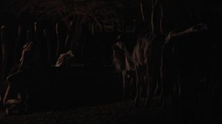 Maeve Jinkings nude - Boi neon (2015) outdoor sex