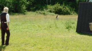 Jodi Balfour, Meisha Lowe, Sara Canning, Rya Lefevre, Sarah Goodwill, Vanessa Walsh, Stephanie Izsak - Eadweard (2015) celebs sexy video