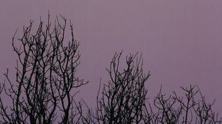 Nicole Branch - Gravitate (2014) celeb sexy