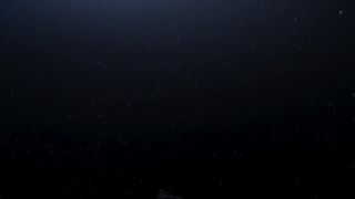 Hannah Gross - Falling (2020) actress sexy