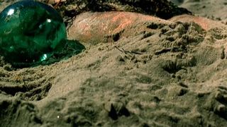 Joanna Pokojska - Siec (2003)