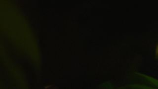 Lindsay Burdge nude, Esther Garrel, Lola Bessis naked - Thirst Street (2017)