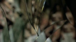 Emilie Dequenne - La ravisseuse (2005) Сut videos