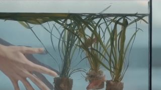 Eden Ducourant nude - Sweet Babylon (2018)