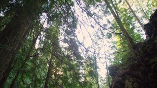 Laura Bilgeri, sexy actress - The Recall (2017) Censorship naked video