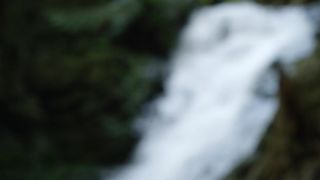 Laura Bilgeri, sexy actress - The Recall (2017) Censorship naked video