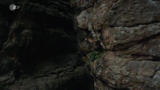 Stephanie Amarell, Emma Drogunova - Die Familie (2017) Naked movie scenes