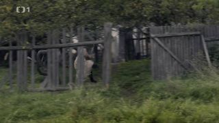 Vica Kerekes - Cetnici z Luhacovic s01e01-02 (2017) Naked actress in a movie scene