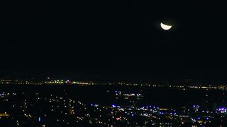 Elizabeth Rice, Tonya Kay, Nicole Arianna Fox naked - Paradise Club (2016)