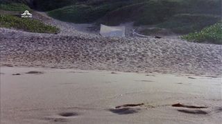 Jenilee Harrison, Jennifer Steyn - Curse III Blood Sacrifice (1991) Hot movie video