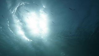 Gracija Filipovic, Vanesa Vidakovic Natrlin nude - Into the Blue (2017)