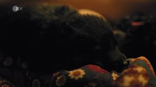 Naomi Achternbusch, Clara Schramm - Blind _ Hasslich (2017) sexy nude scene