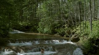 Natalya Frey naked - Poteryannyy ostrov (2018)