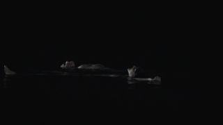 Ariane Labed, Stephanie Sokolinski (Soko) - Voir du pays (2016) celebrity hot movie scene