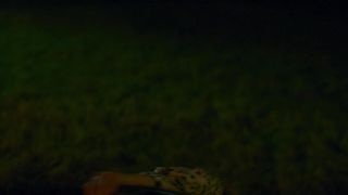 Stephane Caillard, Coline Beal nude - Furie (2019)