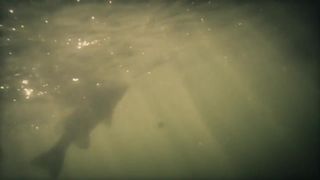 Viridiana Bravo, Venezia Zavala - Eros (2016) Nude sexy videos