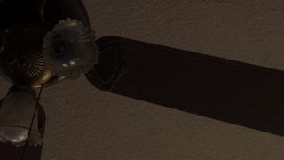 Auden Thornton nude, Hot, Striptease scene for the Movie