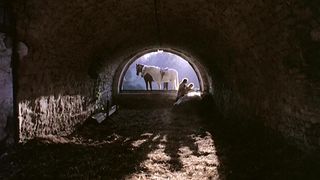 Brigitte Lahaie sex in 'Je Suis A Prendre'