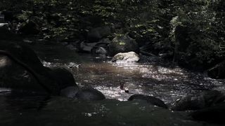 Cylia Malki - Carpe Diem (2013)