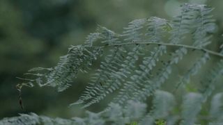 Tessie Herrasti - La Marche du Monde (2013)