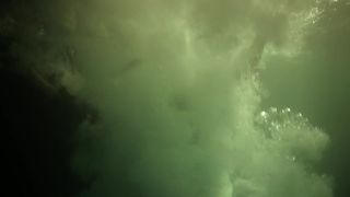 Denise Gjernoe Nude - Oceaniden (2010)