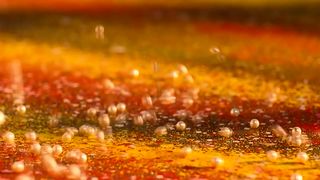 Nandana Sen - Rang Rasya (2008) celebs hot scene