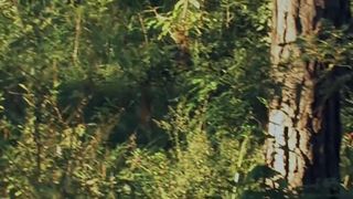 Stephanie Griffith, Taylor Hughes nude - American Paradice (2011)