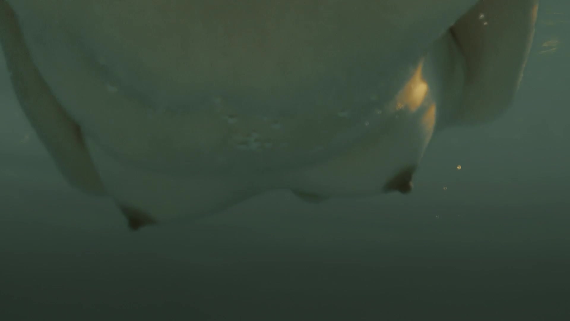 Leticia Leon naked- Molina’s Borealis (2013)