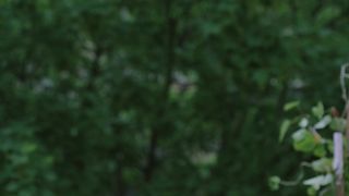 Jade Henot - Le hula hoop (2016)