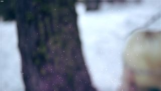 Gemma Donato - Sleeping Beauty (2014)