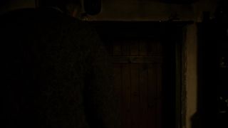 Zuzana Fialova Nude - I Served the King of England (2006)