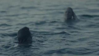 Thali Liberman Nude - Blikkfang (2011)