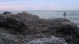 Leticia Leon nude - Sarima a.k.a. Molina's Borealis 2 (2014)