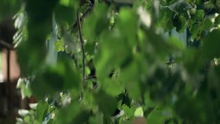 Ekaterina Guseva - Vhodya v dom oglyanis s01e01 (2019)