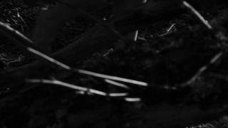 Rea Lest - November (2017) Censorship celebs scenes