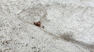 Mainstream Explicit NUDE Scenes. Lena Morris nude - A Thought Of Ecstasy (2017)