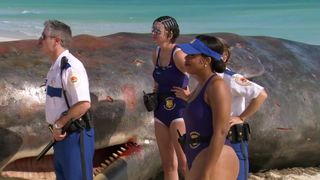 Irina Voronina, Mary Castro, Marisa Petroro Nude - Reno 911! Miami (2007)