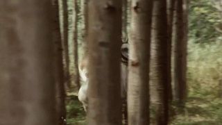 Vintage Erotic Scenes - Zenabel (Grafin der Lust 1969)