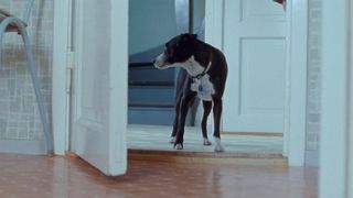 Helene Bergsholm nude – Turn Me On Dammit (2011)