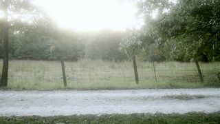 Sophia Takal Nude - 24 Exposures (2013)