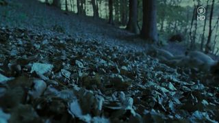 Nina Hoss nude – Das Herz Ist Ein Dunkler Wald (2007)