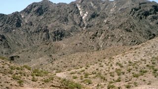 Devanny Pinn nude - Party Bus to Hell (2017)