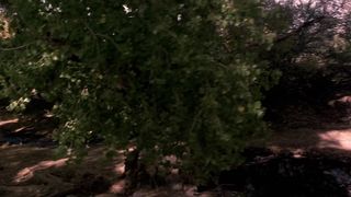 Jennifer Lopez nude - U Turn (1997)