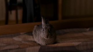 Julie Gayet Nude - Le lievre de Vatanen (2006)