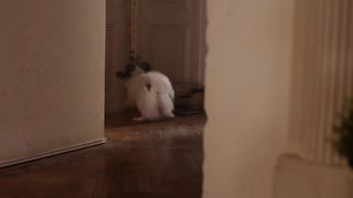 Sasa Pavlin Stosic nude - Prebujanja (2017)