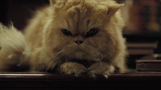 Laura Harring nude – Love in the Time of Cholera (2007)