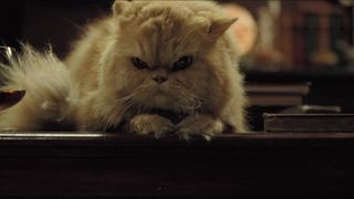 Laura Harring nude – Love in the Time of Cholera (2007)