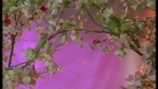 Softcore Video - Breanne Banks and Charisma Cole - Beautiful girls (2004)